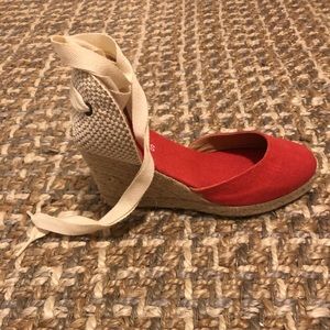 Coral Wedges